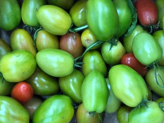 fresh green tomatoes