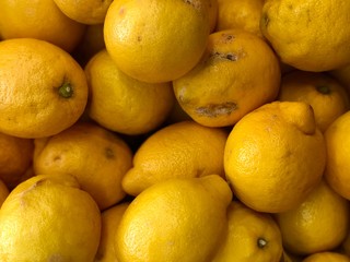 lemons in pile 