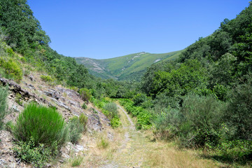 Igueña población de León