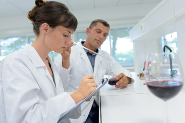 Fototapeta premium male and female oenologists working in a laboratory