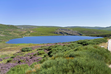 Fototapeta na wymiar Lago de Sanabria y San Martín de Castañeda