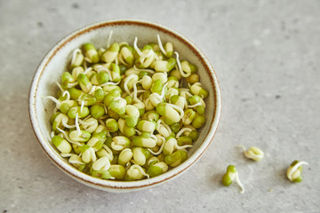 Bean seedlings on light background
