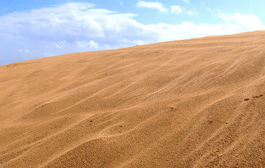 Naklejka premium One of the last sand dunes in the neighborhood of the city of Holon in Israel