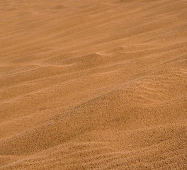 Fototapeta na wymiar One of the last sand dunes in the neighborhood of the city of Holon in Israel