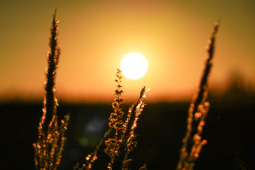 Sunrise  1 © LENIART Photography