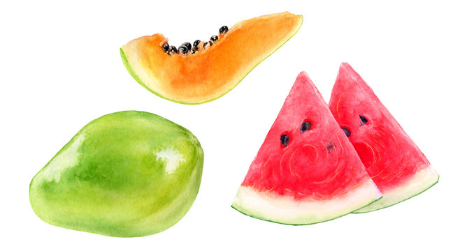 Papaya watermelon watercolor illustration isolated on white background