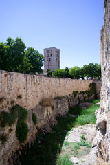 Fototapeta na wymiar Zamora, la ciudad del Duero.