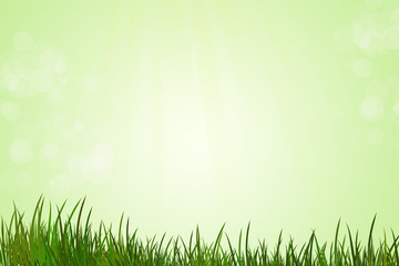 Fototapeta na wymiar Spring background with copy space. Sunny day and grass. illustration