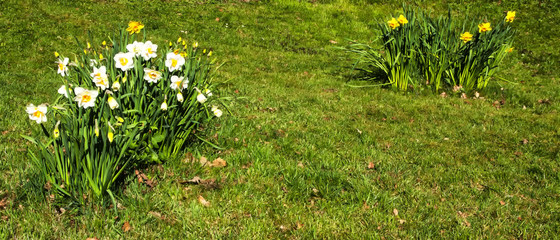 Two families in Isolation