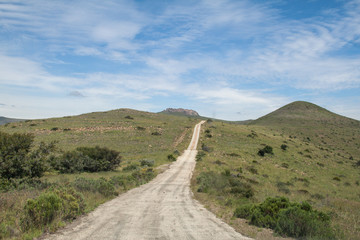 Schotterpiste im Mountain Zebra Nationalpark