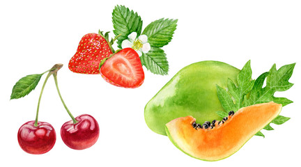 Papaya strawberry cherry watercolor illustration isolated on white background