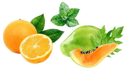 Papaya orange mint watercolor illustration isolated on white background