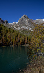 Fototapeta na wymiar autumn landscapes of the upper Maira Valley