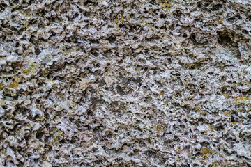 surface of the multi-colored limestone. texture close-up