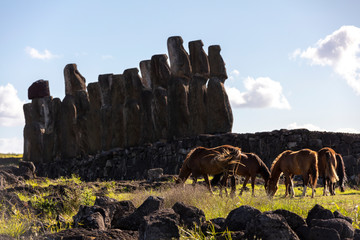 Horses Rapa Nui