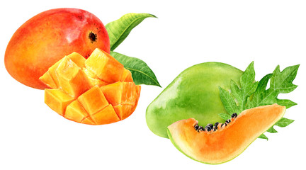 Papaya mango watercolor illustration isolated on white background