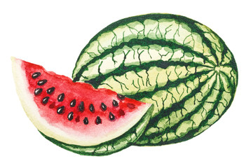 Watermelon. Hand drawn watercolor Illustration isolated on white background.