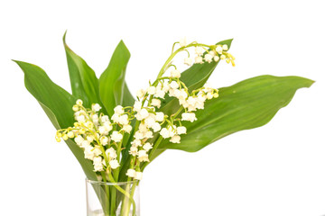 Obraz premium Bouquet of Lily of the valley flower blossoms, isolated on white background. May 1st, Labor Day symbol