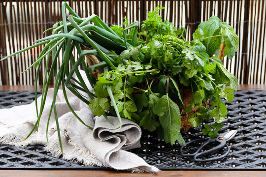 cebolinha em uma cesta com ervas arom&aacute;ticas, coentro, salsa e hortel&atilde;.
