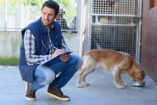 Man Writing On Clipboard In Kennels