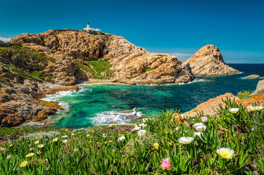 L'&Icirc;le Rousse