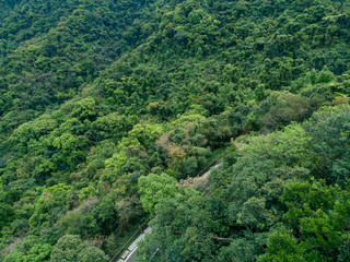 Fototapeta na wymiar Aerial drone view of trail in spring tropical forest