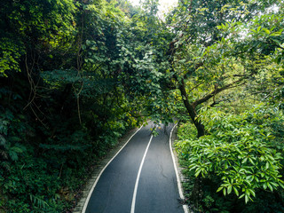 Drone aerial view of trail in spring tropical forest