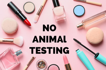 Cosmetic products and text NO ANIMAL TESTING on pink background, flat lay