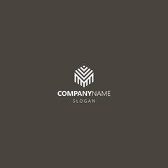 white logo on a black background. simple vector geometric hexagon iconic logo of weird striped pattern or construction