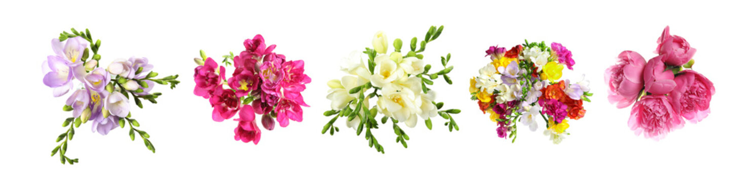 Set with beautiful freesia and peony flowers on white background. Banner design