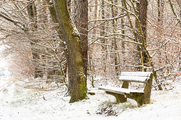 Bench in the park during a snowy cold winter morning.