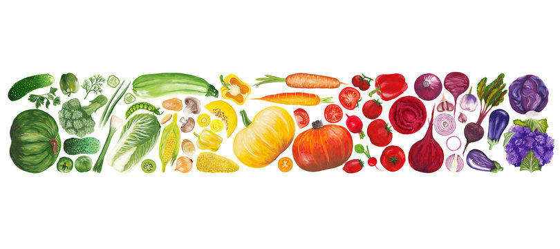 A rectangular frame of hand drawn vegetables arranged in a color gradient. Raster illustration of realistic vegetables isolated on white background.