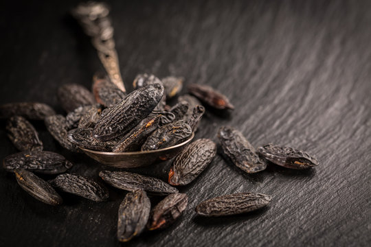 Fragrant tonka beans for baking and cooking