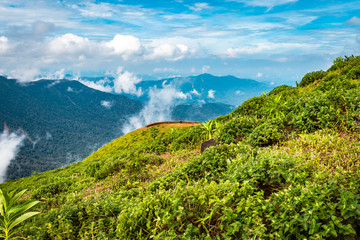 Fototapeta premium mountain with green grass and beautiful sky