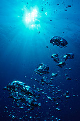 Fototapeta na wymiar underwater scene with bubbles