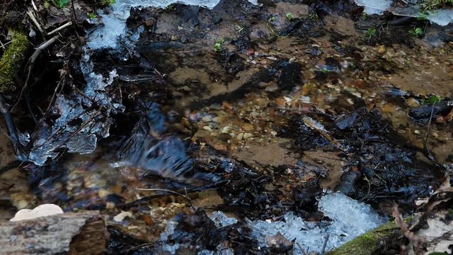 Forest stream with frozen ice pieces on the side in early spring time. Spring nature concept.