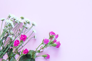 Flowers on a colored background