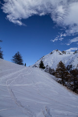 Fototapeta na wymiar ski mountaineering trip to Argentera in the upper Stura Valley