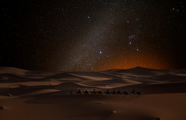 Camel caravan in the desert under the stars © quickshooting