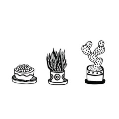 Hand drawn floral illustration isolated on the white background. Vector home cactuses in flower pots. Collection of home flowers in doodle flat style. Natural eco logo. Floral emblem. Exotic plants.