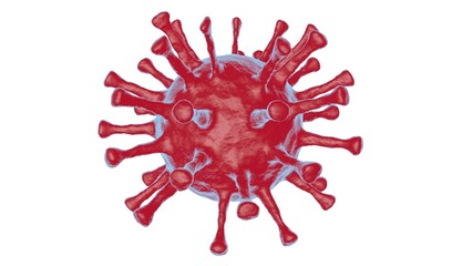 Model of red color coronavirus isolated on white background. Coronavirus pandemic. COVID-19.