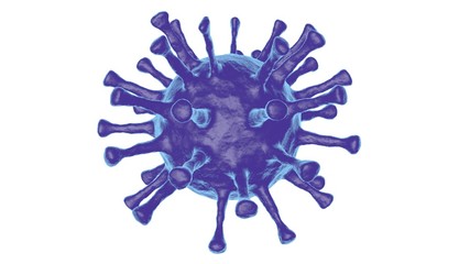 Model of coronavirus purple color isolated on white background. Coronavirus pandemic. COVID-19.