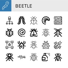 beetle simple icons set