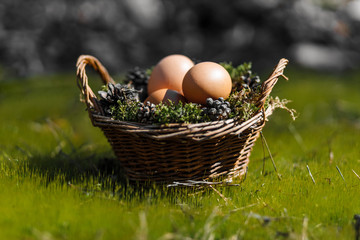 Easter natural eggs on fresh green grass background at forest. Center side. 