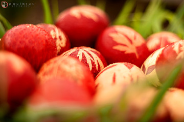 easter, basket, eggs, red eggs, bunny, grass, green grass, spring, holiday, seasson