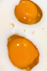 fried egg on a frying pan