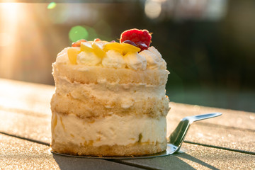 Torte 6