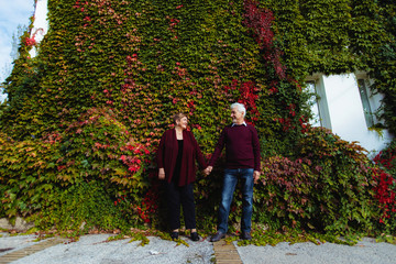 Fototapeta na wymiar Elderly couple in love walking in the autumn park.