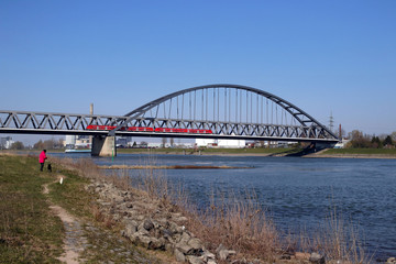 Naklejka premium eisenbahnbrücke über den rhein