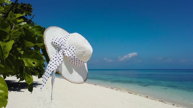 A hat on a tree branch and a tropical beach by the sea. Travel vacation concept